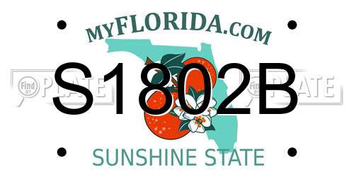 S1802B Florida License Plate