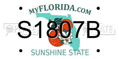 S1807B Florida License Plate