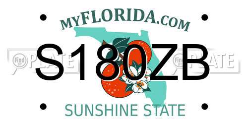 S180ZB Florida License Plate
