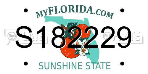 S182229 Florida License Plate