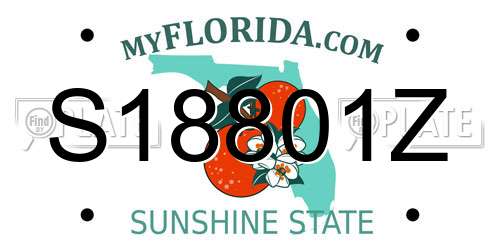 S18801Z Florida License Plate
