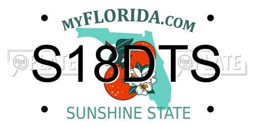 S18DTS Florida License Plate