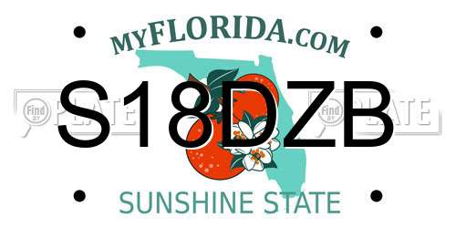 S18DZB Florida License Plate