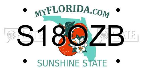 S18OZB Florida License Plate