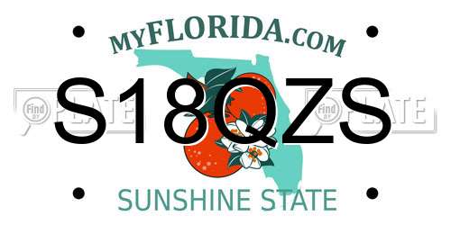 S18QZS Florida License Plate