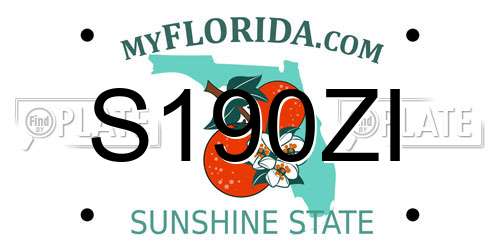 S190ZI Florida License Plate