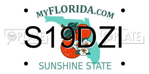 S19DZI Florida License Plate
