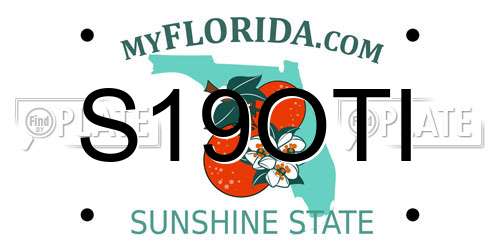 S19OTI Florida License Plate