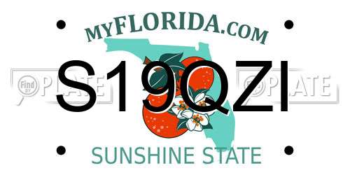 S19QZI Florida License Plate