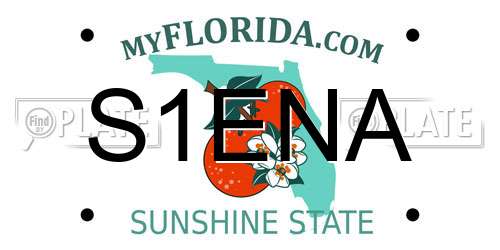 S1ENA Florida License Plate