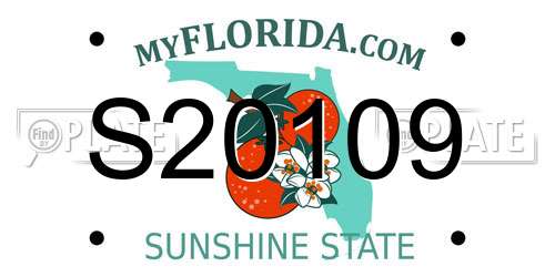 S20109 Florida License Plate