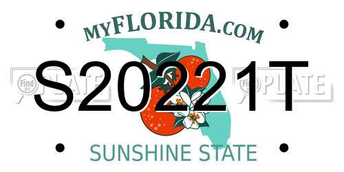 S20221T Florida License Plate