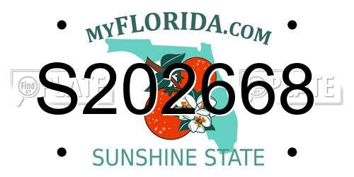 S202668 Florida License Plate