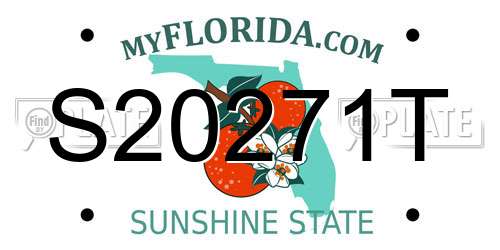 S20271T Florida License Plate