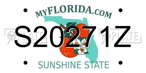S20271Z Florida License Plate