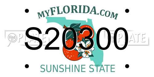 S20300 Florida License Plate