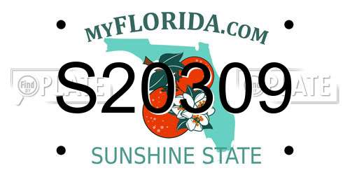 S20309 Florida License Plate