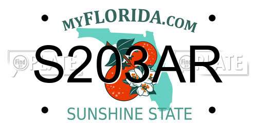 S203AR Florida License Plate