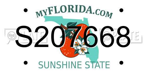 S207668 Florida License Plate