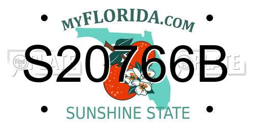 S20766B Florida License Plate
