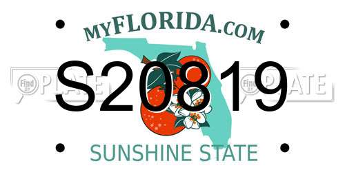 S20819 Florida License Plate