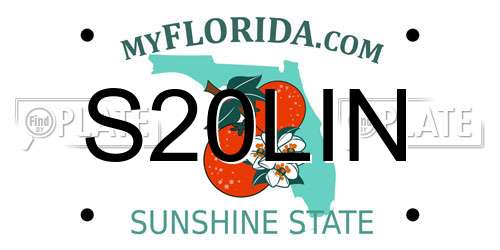 S20LIN Florida License Plate