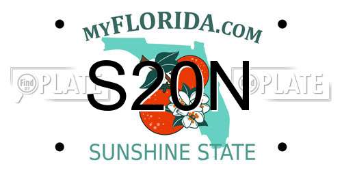 S20N Florida License Plate