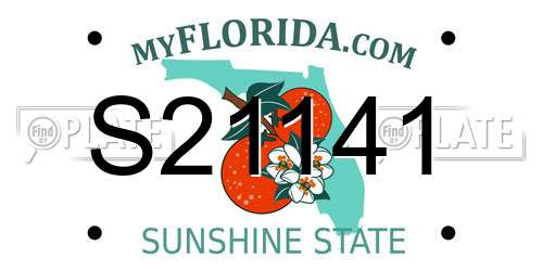 S21141 Florida License Plate