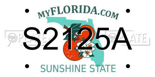 S2125A Florida License Plate