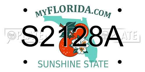 S2128A Florida License Plate