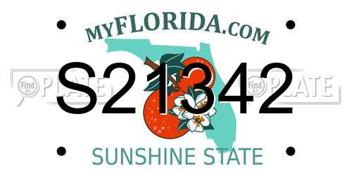 S21342 Florida License Plate