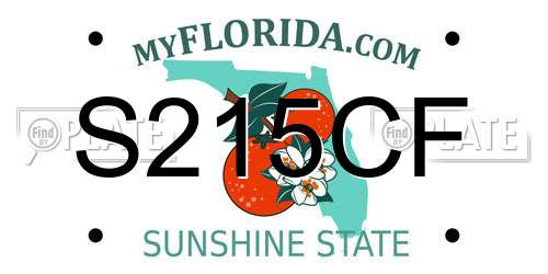 S215CF Florida License Plate