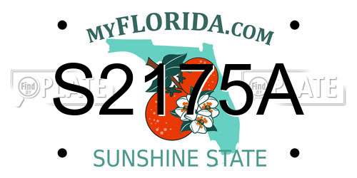 S2175A Florida License Plate