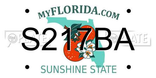 S217BA Florida License Plate