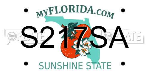 S217SA Florida License Plate