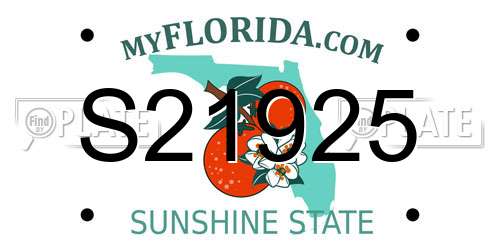 S21925 Florida License Plate