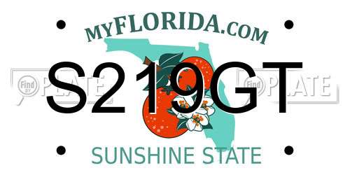 S219GT Florida License Plate