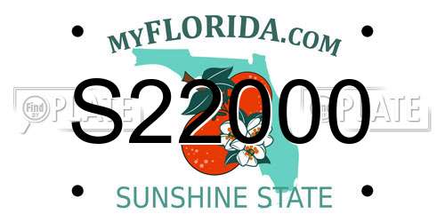 S22000 Florida License Plate