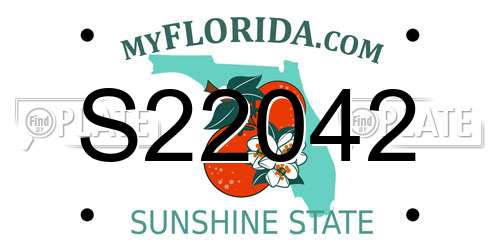 S22042 Florida License Plate