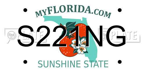 S221NG Florida License Plate
