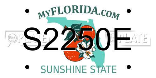 S2250E Florida License Plate