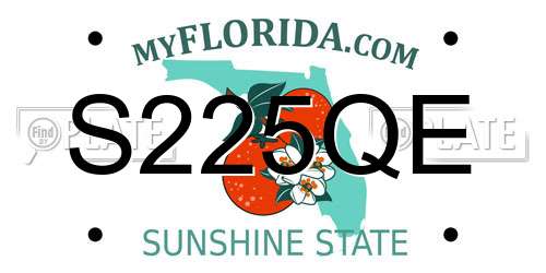 S225QE Florida License Plate