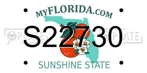 S22730 Florida License Plate