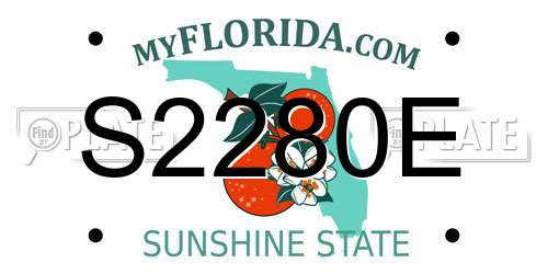 S2280E Florida License Plate