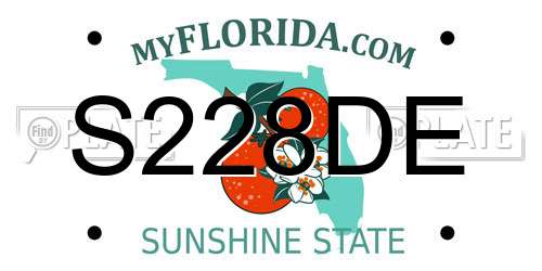 S228DE Florida License Plate