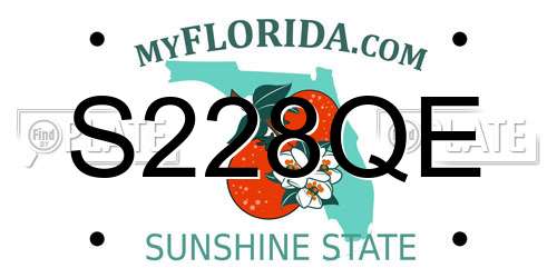 S228QE Florida License Plate