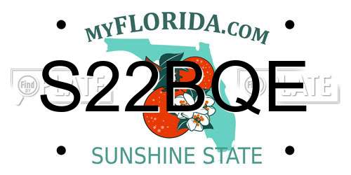 S22BQE Florida License Plate