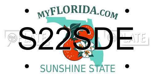 S22SDE Florida License Plate