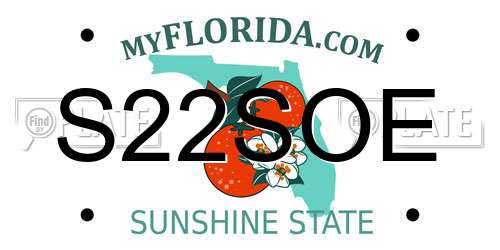 S22SOE Florida License Plate