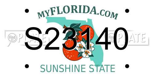 S23140 Florida License Plate